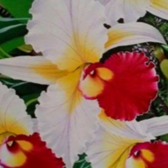 Beautiful original painting - Picture 2 of 2